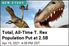 It Wouldn&#39;t Have Been Easy to Bump Into a T. Rex