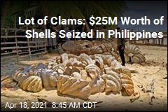 Lot of Clams: $25M Worth of Shells Seized in Philippines