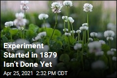 Experiment Started in 1879 Isn&#39;t Done Yet