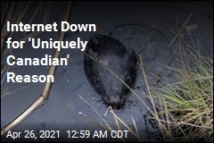 Internet Down for &#39;Uniquely Canadian&#39; Reason