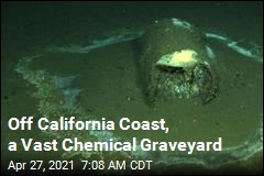 Graveyard of Pesticide-Laced Barrels Hides Off Los Angeles