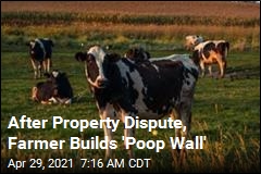 Disgruntled Neighbor Builds Wall of Cow Poop
