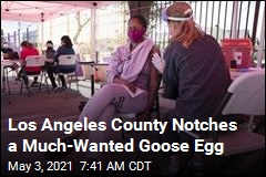 Los Angeles County Notches a Much-Wanted Goose Egg