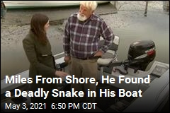 30 Minutes From Shore, He Found a Deadly Snake in His Boat