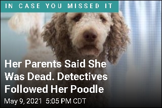 &#39;Dead&#39; Fraud Suspect Exposed by Her Poodle