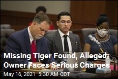 Missing Tiger Found, Alleged Owner Faces Serious Charges