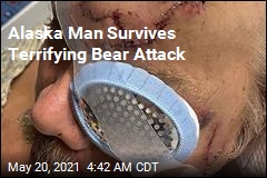 Alaska Man Survives Brown Bear Attack