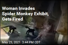 Law Firm Fires Woman Who Climbed Into Monkey Exhibit