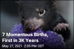 7 Momentous Births, First in 3K Years