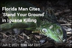 Florida Man Cites &#39;Stand Your Ground&#39; in Iguana Killing