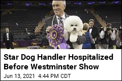 Star Dog Handler Hospitalized Before Westminster Show