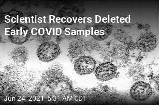 Early COVID Samples Were Wiped From Database