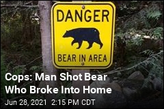 Cops: Man Shot Bear Who Broke Into Home