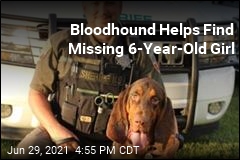 Bloodhound Helps Find Missing 6-Year-Old Girl