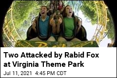Two Attacked By Rabid Fox at Virginia Theme Park