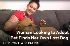 Woman Looking to Adopt Pet Finds Her Own Lost Dog