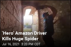 &#39;Hero&#39; Amazon Driver Kills Huge Spider
