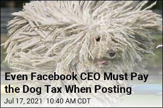 Facebook CEO Called Out For Evading the Dog Tax