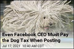 Facebook CEO Called Out For Evading the Dog Tax