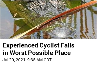 Cyclist Fell From His Bike, Then the Alligator Attacked