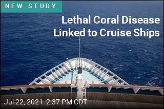Lethal Coral Disease Linked to Cruise Ships