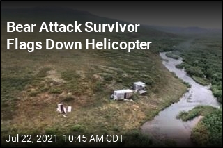 Bear Attack Survivor Flags Down Helicopter