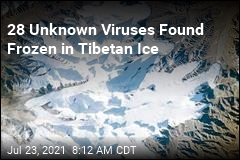 28 Unknown Viruses Found Frozen in Tibetan Ice
