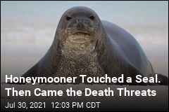 Honeymooner Touched a Seal. Then Came the Death Threats