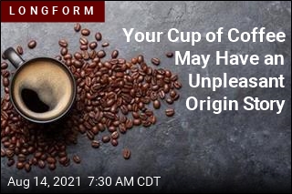 Your Cup of Coffee May Have an Unpleasant Origin Story