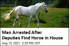 Man Arrested After Deputies Find Horse in House