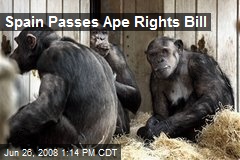 Spain Passes Ape Rights Bill