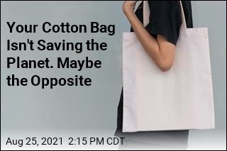 Your Cotton Bag Isn&#39;t Saving the Planet. Maybe the Opposite