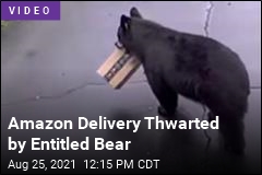 Amazon Delivery Thwarted by Entitled Bear