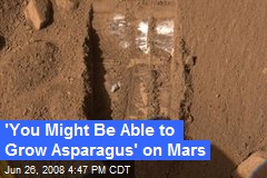 'You Might Be Able to Grow Asparagus' on Mars