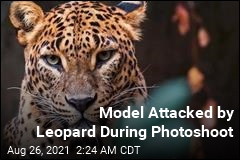 Leopard Attacks Model During Photoshoot