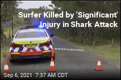 Shark Attack Claims Surfer on Holiday Weekend