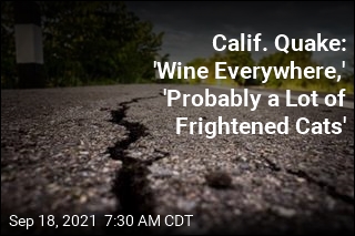 Calif. Quake: &#39;Wine Everywhere,&#39; &#39;Probably a Lot of Frightened Cats&#39;