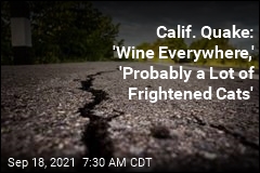 Calif. Quake: &#39;Wine Everywhere,&#39; &#39;Probably a Lot of Frightened Cats&#39;