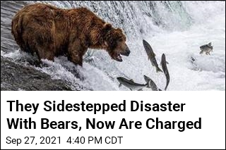 They Sidestepped Disaster With Bears, Now Are Charged