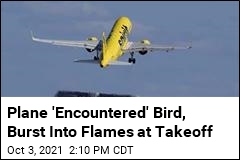 Plane &#39;Encountered&#39; Bird, Bursts Into Flame at Takeoff