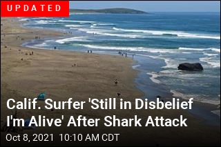 Calif. Surfer Critically Injured in Rare Shark Attack