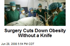 Surgery Cuts Down Obesity Without a Knife