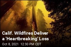 Calif. Wildfires Deliver a &#39;Heartbreaking&#39; Loss