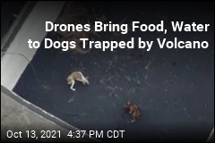 Drones Drop Food for Dogs Stranded by Volcano