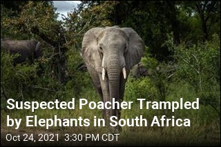 Man Found Trampled to Death Suspected of Being a Poacher