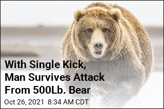 With Single Kick, Man Survives Attack From 500Lb. Bear
