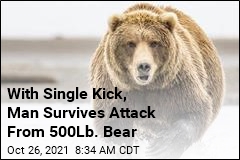 With Single Kick, Man Survives Attack From 500Lb. Bear