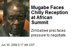 Mugabe Faces Chilly Reception at African Summit