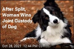 Woman Sues, Wins Joint Custody of Dog
