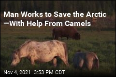 Man Works to Save the Arctic &mdash;With Help From Camels